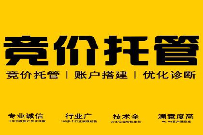 某sem公司成功案例揭秘